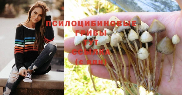 прущий лед Осинники