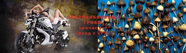 прущий лед Осинники