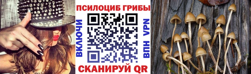 OMG ссылки  купить наркотик  Комсомольск  Галлюциногенные грибы MAGIC MUSHROOMS 